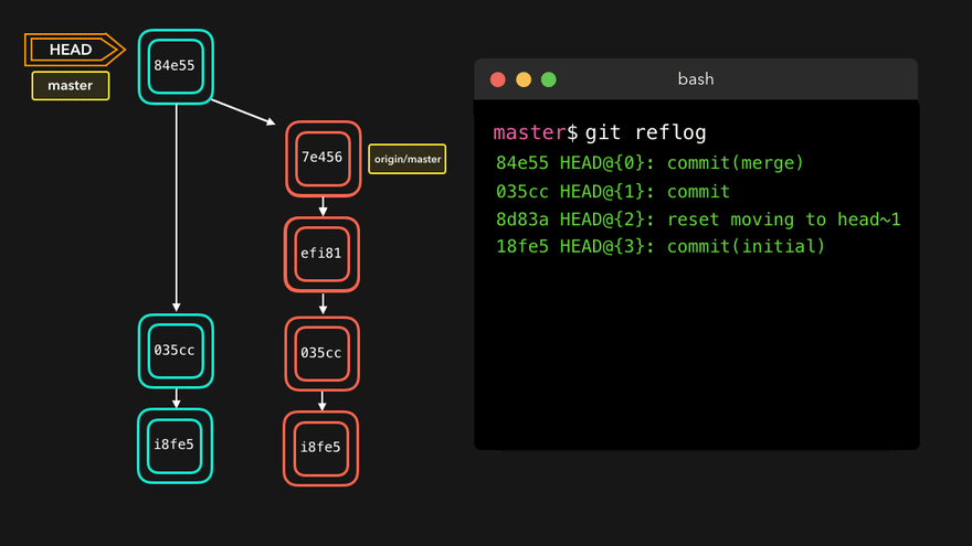 The Secret Architecture of the Programmer’s Time Machine. - Highlight Image 1